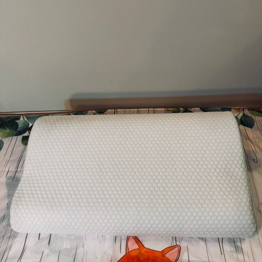 Pillow Cervical Pillow With Memory Foam NWOT
